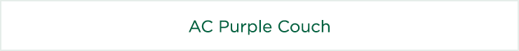 AC Purple Couch